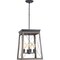 Progress Lighting Briarwood Collection Four-Light Foyer P500178-020 - alternate 4